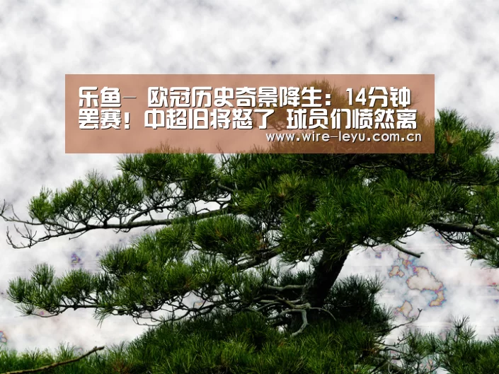 乐鱼-
欧冠历史奇景降生:14分钟罢赛!中超旧将怒了 球员们愤然离场(图3) 乐鱼app