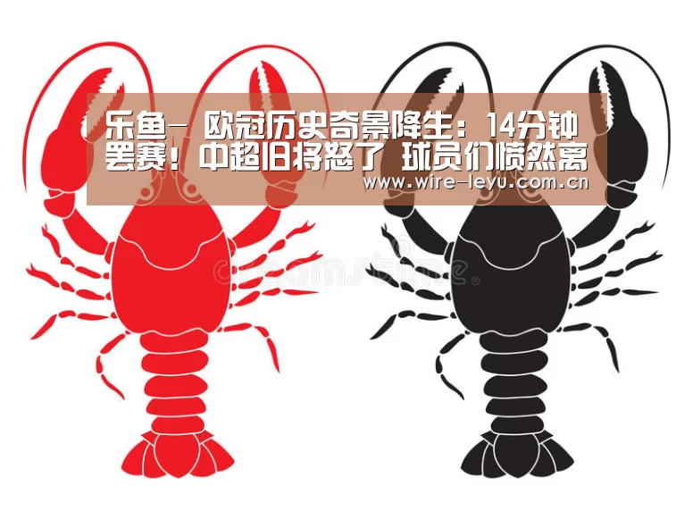 乐鱼-
欧冠历史奇景降生:14分钟罢赛!中超旧将怒了 球员们愤然离场(图4) 乐鱼