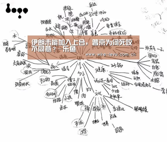 伊朗未能加入上合,普京为何死咬不同意?-乐鱼(图2) 乐鱼